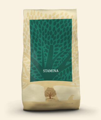 ESSENTIAL STAMINA 10KG - - Essentialfoods