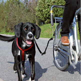 Cykelstang til tur med hunden - trixie