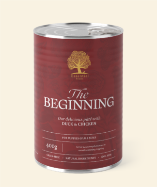 ESSENTIAL the BEGINNING PÃTÃ 400G - - Essentialfoods