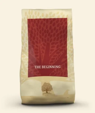 The Beginning Hvalpefoder - Essential Foods