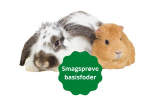 Smagsprøve på basisfoder