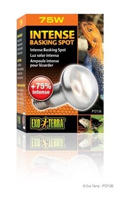 Exo-Terra Intense Basking Spot 25W