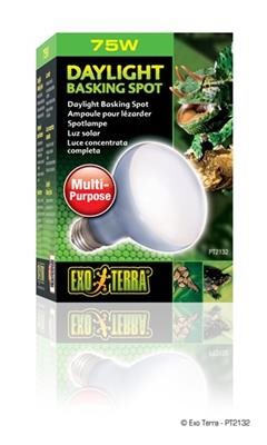 ExoTerra Sun Glo Spotpærer - Daylight 75W