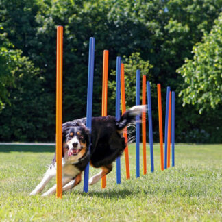 Agility Slalom-pinde, 12 stk. 115 cm - trixie