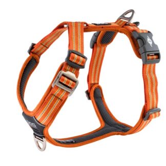 Comfort Walk Airâ¢ hundeSele orange-S - Dog Copenhagen