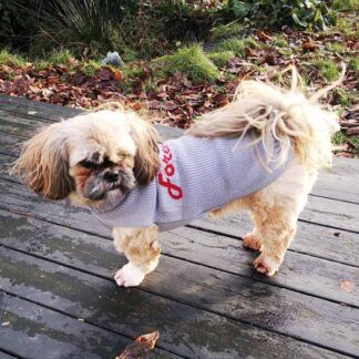 Grå hundesweater forever love-Ryg 43 cm - Fashion Dog