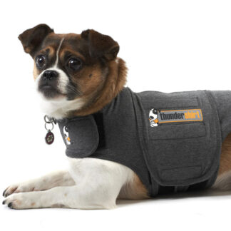 Thundershirt den bedste løsning mod angst  hos hunde-M - 4hotdogs.com