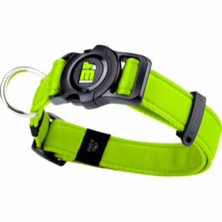 Memopet hundehalsbånd lime-S:26-37cm - MyFamily