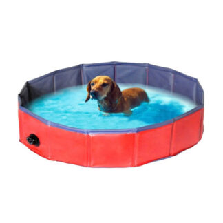 Hunde swimming Pool-L - Camon